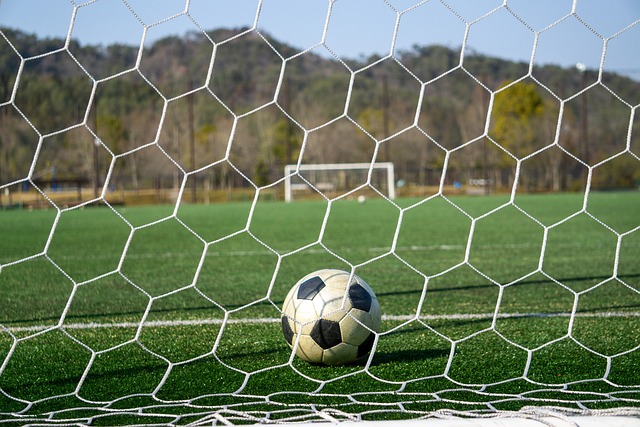 揭开亚冬专 揭开亚冬专