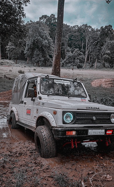 的竞技水平 的竞技水平